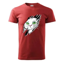 Kočka v roztrženém triku