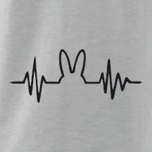 EKG zajac