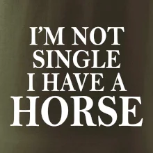 I have a horse I have a horse