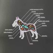 Tajomstvo bulteriéra s popisom (Pecka Design)