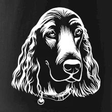 Kokeršpaniel - hlava kreslená