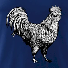 Kohút kreslený čiernobiely