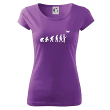 Dron evolúcia Dron evolúcia