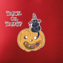 Tekvica a mačka Tekvica a mačka