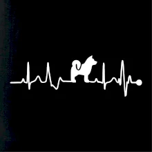 Shiba-Inu EKG Shiba-Inu EKG