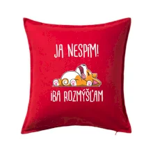 Ja nespím, iba rozmýšľam SK