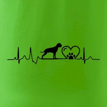 Nemecký boxer EKG