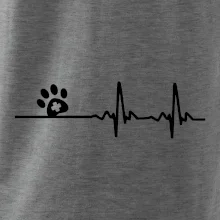 Veterinár EKG Veterinár EKG