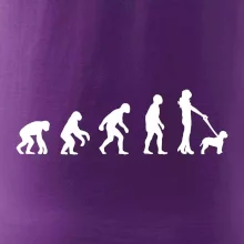 Lagotto romagnolo Evolúcia Lagotto romagnolo Evolúcia