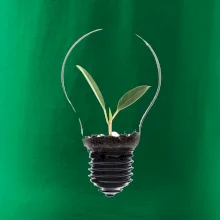 Žiarovka kvetináč