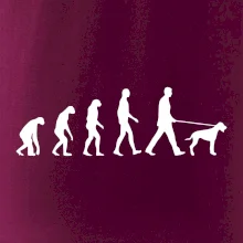 Evolúcia pes stavač