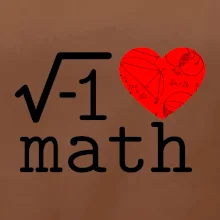 I love math