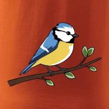 Sýkorka modrinka na vetve