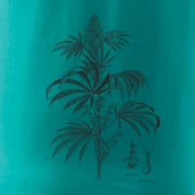 Konope kvietok čiernobiely  