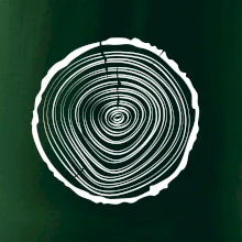 Letokruhy 20 bez veku