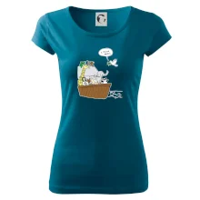 Pravda s Noemovou archou