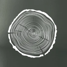 Letokruhy 45 bez veku