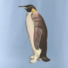 Tučniak kreslený vodovými farbami