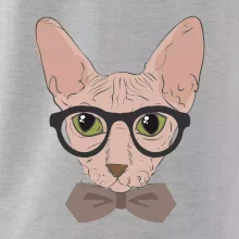Hipster sphynx