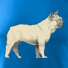 Vintage French bulldog
