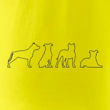 Americký stafordšírsky teriér v rôznych pozíciách