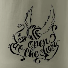 Harry - Zlatá strela