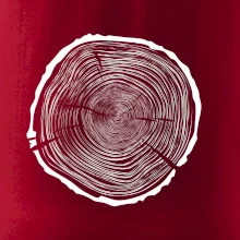 Letokruhy 75 bez veku Letokruhy 75 bez veku