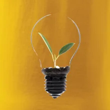 Žiarovka kvetináč