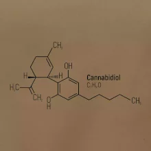Molekulárna štruktúra CBD (Canabidiol)