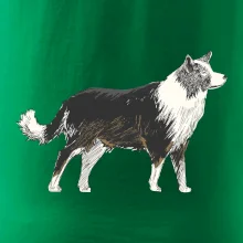 Border kólia kreslená