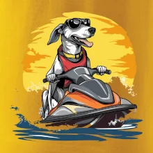 Chrt na vodnom skútri