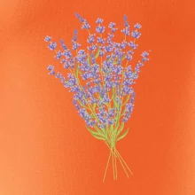 Levanduľa kreslená