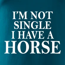 I have a horse