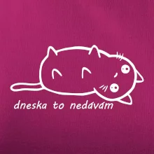 Dnes to nedávam
