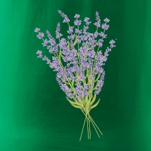 Levanduľa kreslená Levanduľa kreslená