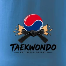 Taekwondo pás a rozlomená deska eat sleep repeat