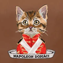 Napoleon domáci mačka