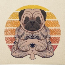 Yoga meditace - pug
