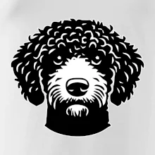 Lagotto romagnolo hlava na prsníku