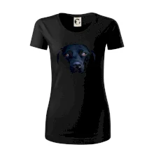 Čierny Labrador fotka