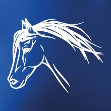 Kôň - hlava celá