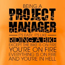 Being A Project Manager - bike