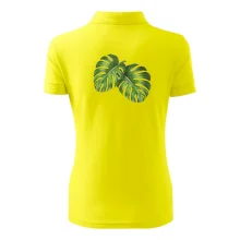 Monstera - dva listy Monstera - dva listy