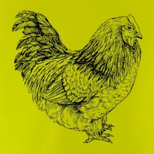 Sliepka čiernobiela