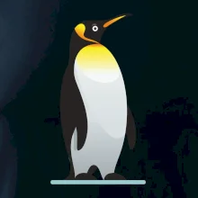 Tučniak so žltou nákrčenkou