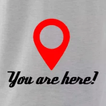 You are here