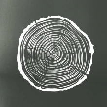 Letokruhy 25 bez veku