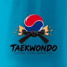 Taekwondo pás a rozlomená deska eat sleep repeat