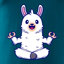 Yoga meditácie - lama