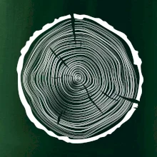 Letokruhy 50 bez veku